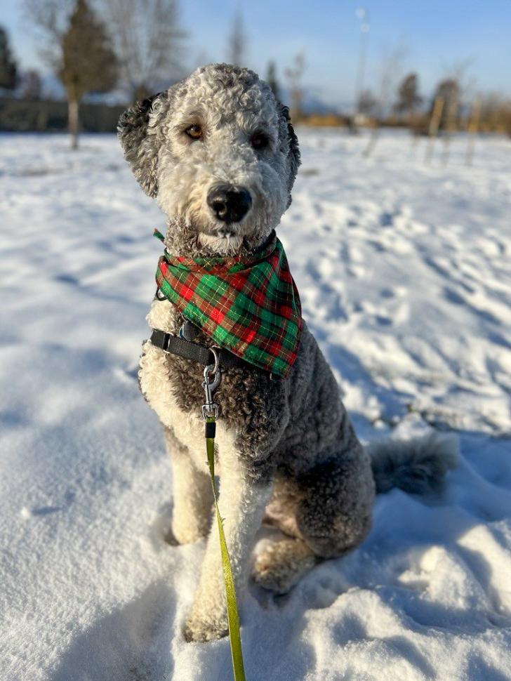 angela_norkum-porubanec