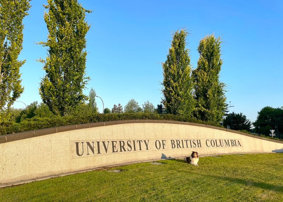 francisco_hernandez_