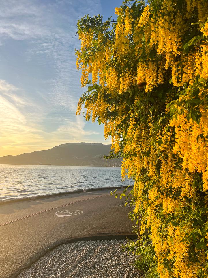 susan_gnanaprakasam2