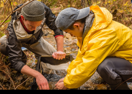 Photo of people collaborating