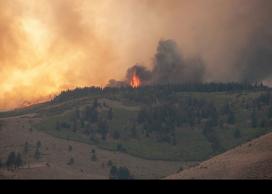 Staying fire-smart in the era of COVID-19