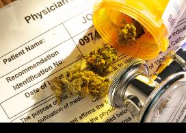 New UBCO study examines pain tolerance among cannabis users