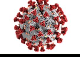 SARS-CoV-2 and human cell receptors