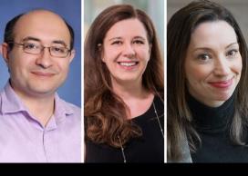 Faculty research advisors