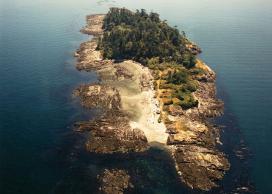 Halibut Island