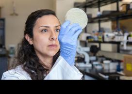 Lab tech exploring designer probiotics