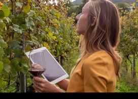 Learning about wine with apps