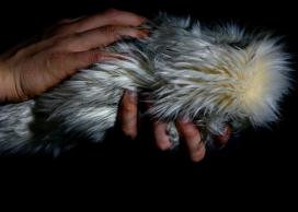 An example of a robot designed for therapy. Credit: Paul Bucci