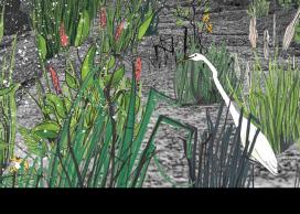 Illustration by Clare Mallison