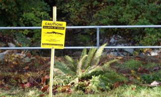 Salmon signage