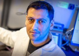 Dr. Mohammad Arjmand