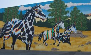 Kelowna mural