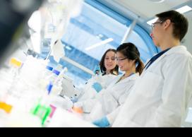 Undergraduate student research awards